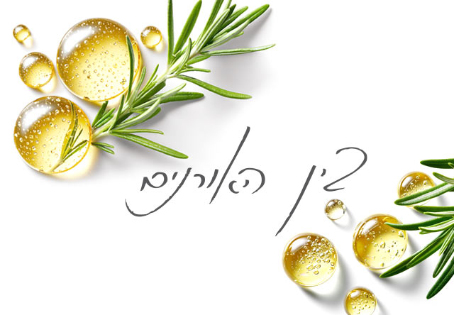 לוגו מותאם אישית