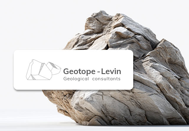 עיצוב לוגו עם מיתוג עסקי