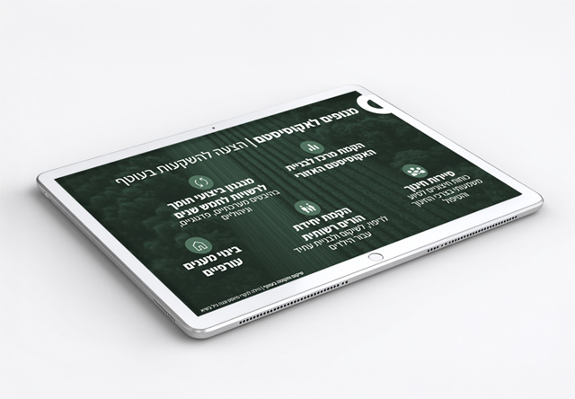 מצגות משקיעים מקצועיות