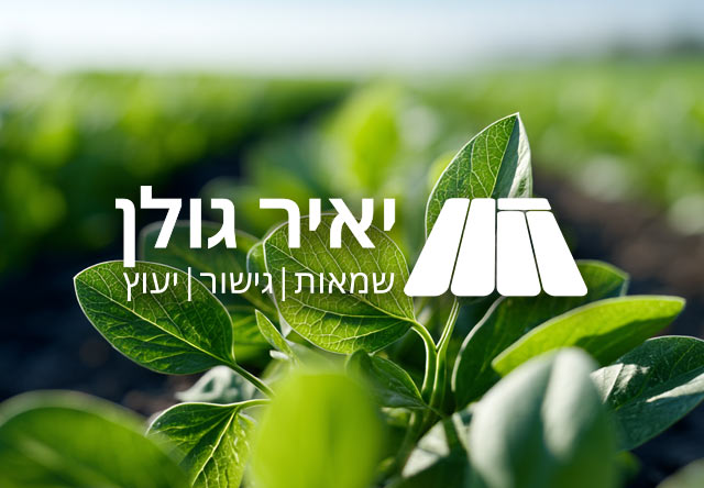 עיצוב לוגו קריאטיבי